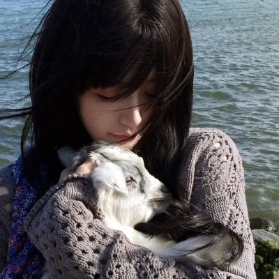 大小姐和看门犬